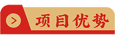 項目優(yōu)點(diǎn)